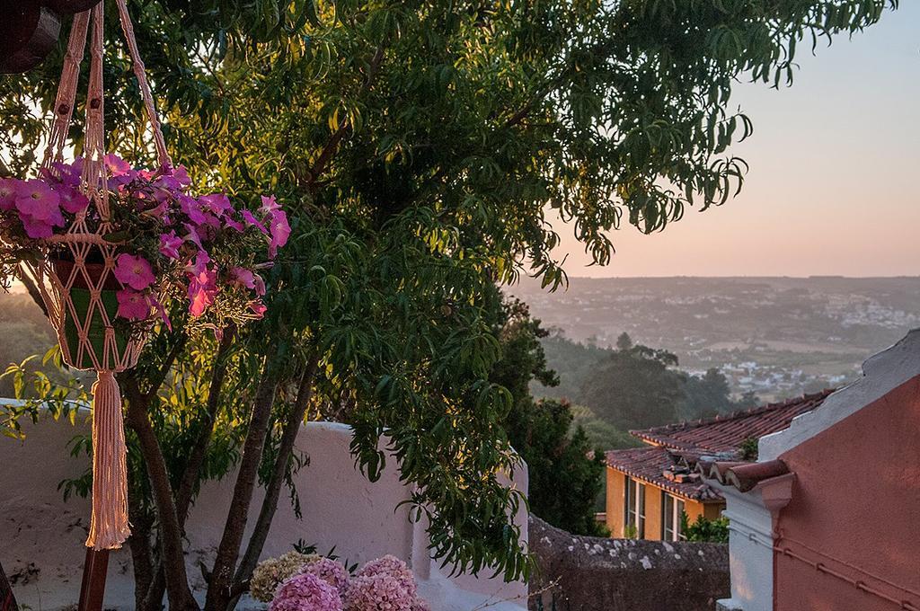 Casas Do Patio Sem Cantigas 1 Σίντρα Εξωτερικό φωτογραφία